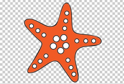 Starfish Video Sea PNG, Clipart, Area, Blue Tang, Echinoderm ...