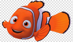 Nemo illustration, Nemo Close Up transparent background PNG ...