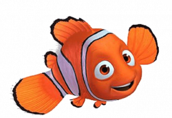 Nemo Side View transparent PNG - StickPNG