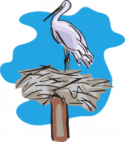 Bird Standing On Nest Clip Art at Clker.com - vector clip art online ...