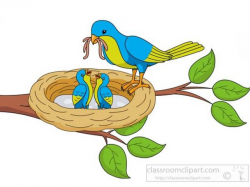 Free Nest Clipart, Download Free Clip Art on Owips.com