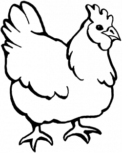 Chicken clipart - Coloring pages - Print coloring