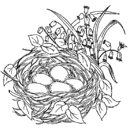 coloring pages birds | Beautiful Bird Nest Coloring Pages ...
