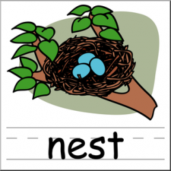 Clip Art: Basic Words: Nest Color Labeled I abcteach.com ...