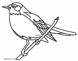 Drawn Bird Wisconsin Free collection | Download and share Drawn Bird ...
