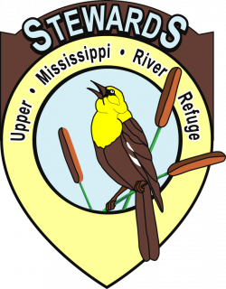 Bald Eagle Nest Cam – Live | Stewards of the Upper Mississippi River ...