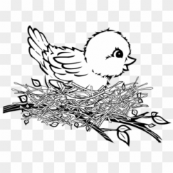 Free Png Download Bird In Nest Png Images Background - Birds ...