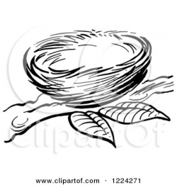 Clipart of a Black and White Bird Nest on a Branch - Royalty ...
