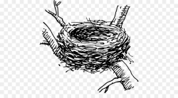 Bird Line Drawing clipart - Bird, Nest, Head, transparent ...