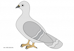Raster clipart pigeon.