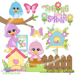 Spring Birds Clipart-Instant Download-Digital Clipart-pretty bird-bird clip  art-blue bird-bird nest-bird house