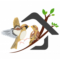 Singing Sparrows