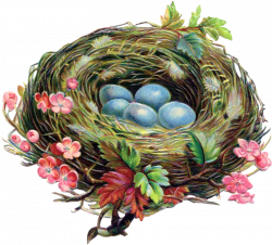 eggs4.png | Easter, Clip art and Easter crafts