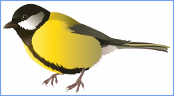 Appealing Yellow Bird Png Clipart Cute Birdies For Pigeon Ideas And ...