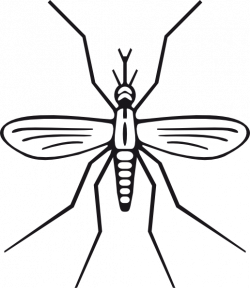 Free Big Mosquito Cliparts, Download Free Clip Art, Free Clip Art on ...