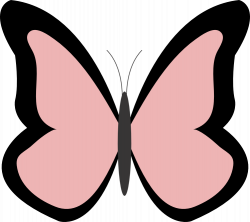 clipart butterflies in color - Clipground