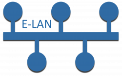 E-LAN Service Type Icon - MEF Reference Wiki - MEF Wiki