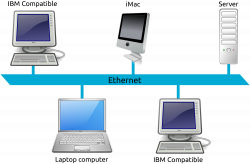 File:Ethernet LAN.svg - Wikimedia Commons