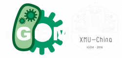 Team:XMU-China/HP/Newsletter - 2016.igem.org