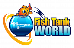 Fish Tank World Helping Aquarium Enthusiasts Learn About Best Fish ...