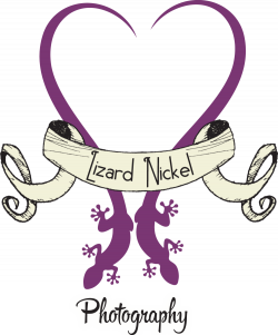 Lizard Nickel Photography