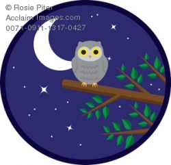 Clipart Illustration Of An Owl On A Tree Branch At Night