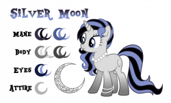 Silver Moon Reference by Drakizora on DeviantArt
