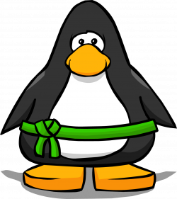 Image - Green Belt from a Player Card.PNG | Club Penguin Wiki ...