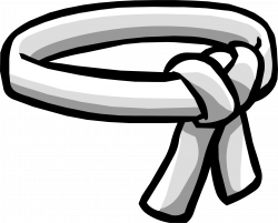 Card-Jitsu Belts | Club Penguin Wiki | FANDOM powered by Wikia