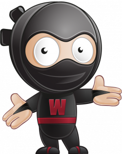 Welcome to Web Ninja - Web Services to help your business kick butt