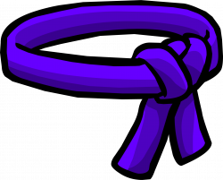 Purple Ninja Belt | Club Penguin Rewritten Wiki | FANDOM powered by ...