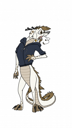 Andrew the Border Collie Noodle Dragon Thing by Mastermastel -- Fur ...
