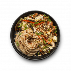 Noodle PNG images free download