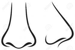 human nose clipart black and white - Google Search | pics to put in ...