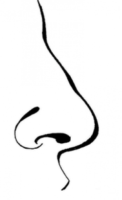 Free Animated Clipart Nose | Free Images at Clker.com ...
