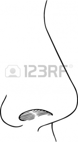 Human Nose Isolated On White | Clipart Panda - Free Clipart ...