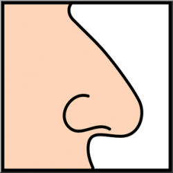 Nose Smell Clipart | Free download best Nose Smell Clipart ...