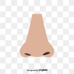 Free Download | Simple Nose PNG Images, nose clipart, brief ...