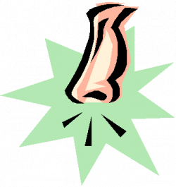 Free Cliparts Smelly Nose, Download Free Clip Art, Free Clip ...