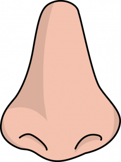 nose clipart png - Clipground