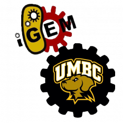 Team:UMBC-Maryland/Notebook - 2015.igem.org