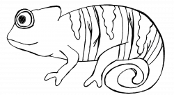 Clip Art by Carrie Teaching First: Habitats | School stuff ...