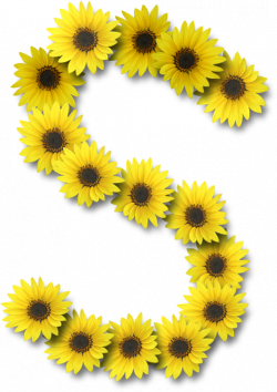 Alfabeto sunflowers .....S | Letter 