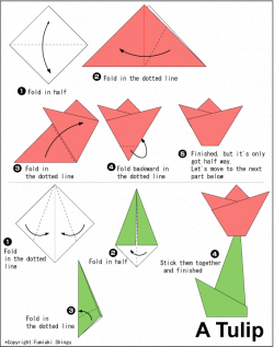 How to learn origami? The ultimate resource | Pinterest | Origami ...