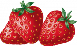 strawberries png - Free PNG Images | TOPpng