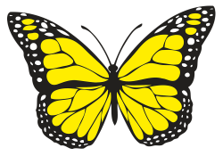 spiritual meaning of yellow butterflies. Hope and guidance | GOOD TO ...