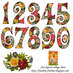 Shabby Floral Numbers (PNG) | Art ~ free printables | Pinterest ...