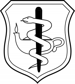 File:United States Air Force Nurse Corps Badge.svg - Wikimedia Commons