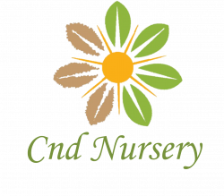 CND Nursery – Major Supplier of Plants to Wholesale & Retail Customers