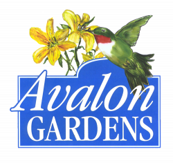 Nursery — Avalon Gardens Inn
